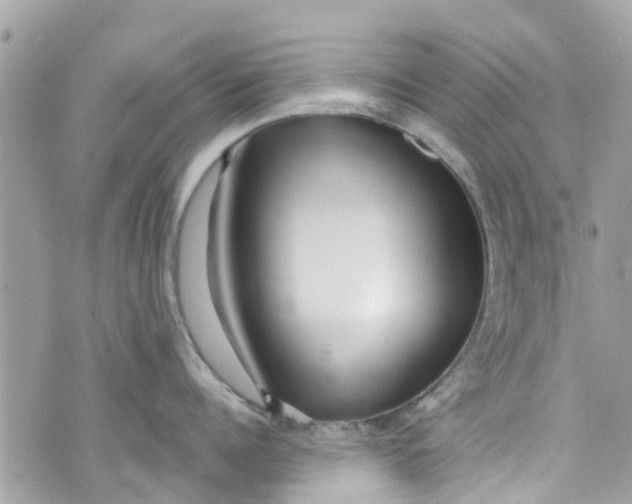 X0000072990960200608111804