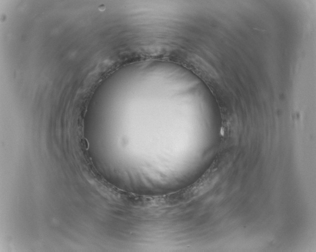 X0000072990961200608111803