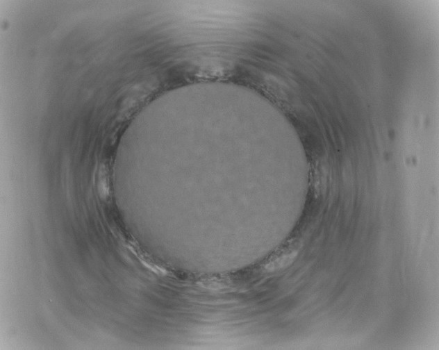 X0000072990962200608111803