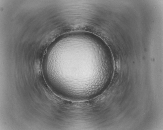 X0000072990963200608111803