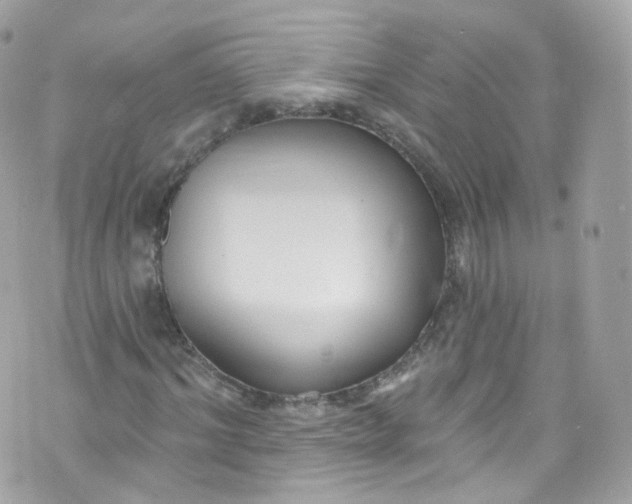 X0000072990964200608111803