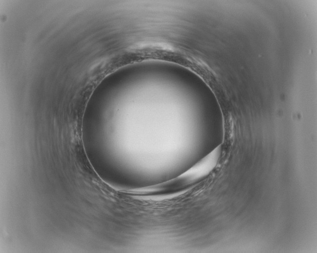 X0000072990965200608111803