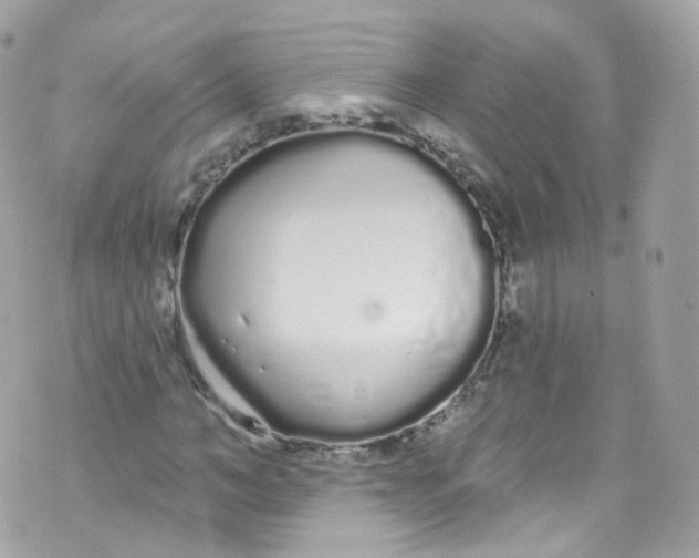 X0000072990966200608111803