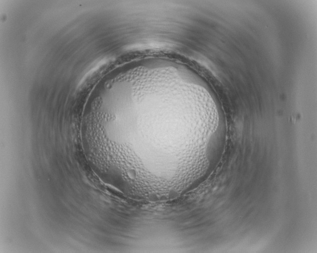 X0000072990967200608111803