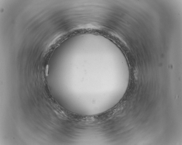 X0000072990968200608111803