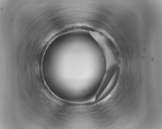 X0000072990969200608111803