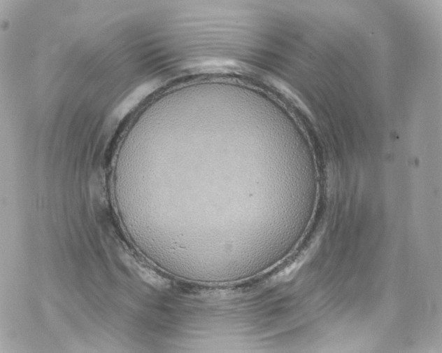 X0000072990970200608111803