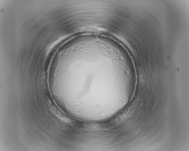 X0000072990971200608111803