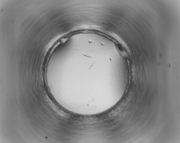 X0000072990972200608111803