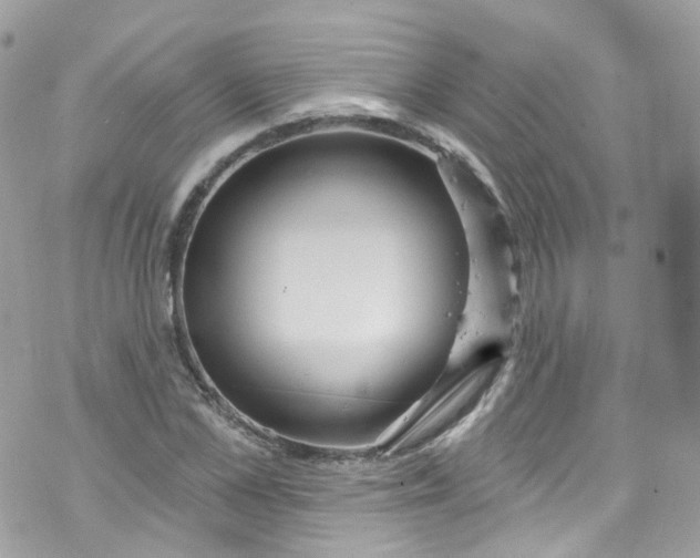 X0000072990973200608111803