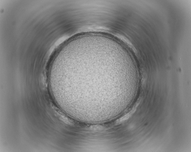 X0000072990974200608111803