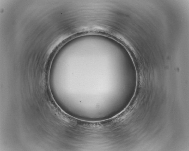 X0000072990975200608111803