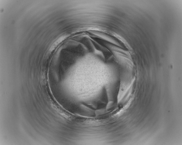 X0000072990977200608111803