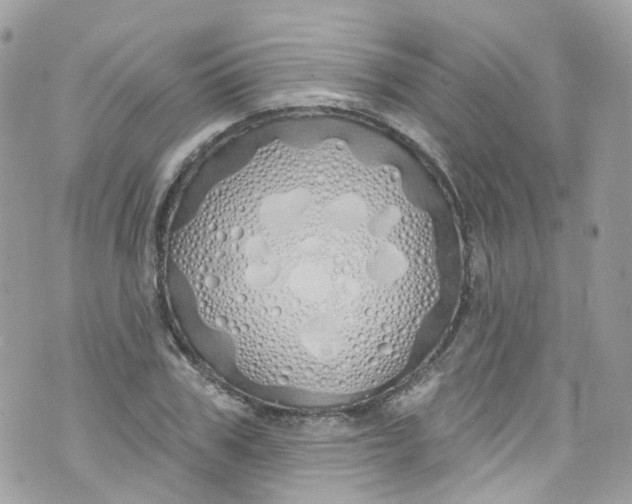 X0000072990979200608111803