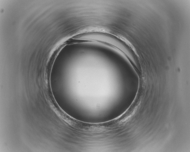 X0000072990981200608111802