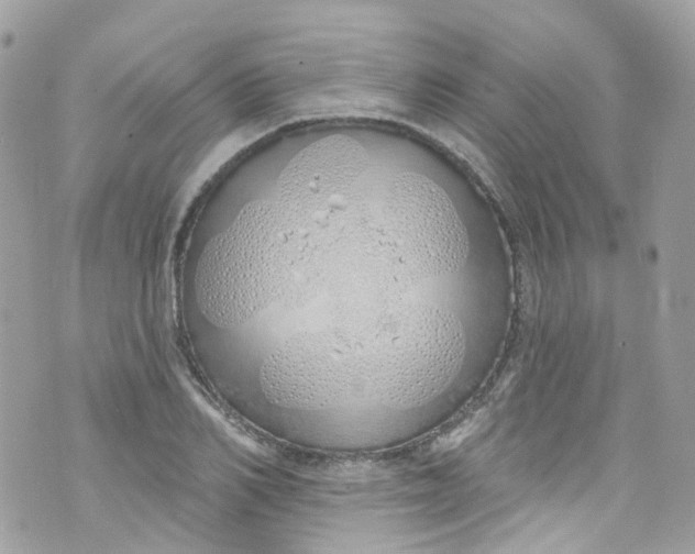 X0000072990982200608111802