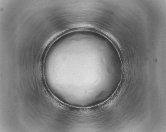 X0000072990983200608111802