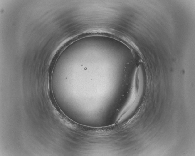 X0000072990984200608111802