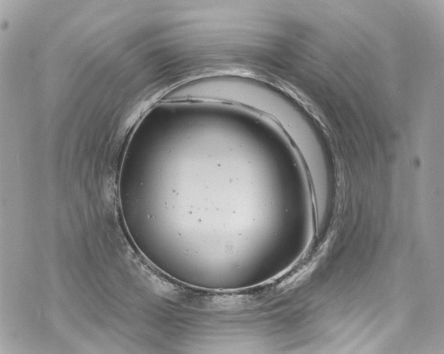 X0000072990985200608111802