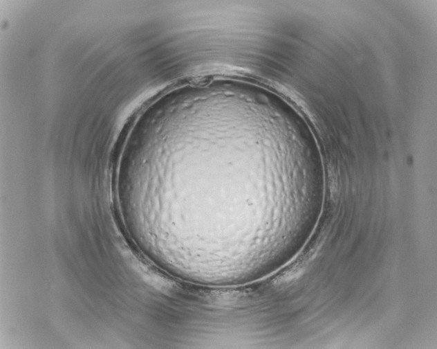 X0000072990987200608111802