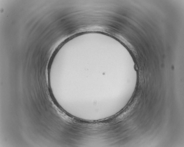 X0000072990988200608111802