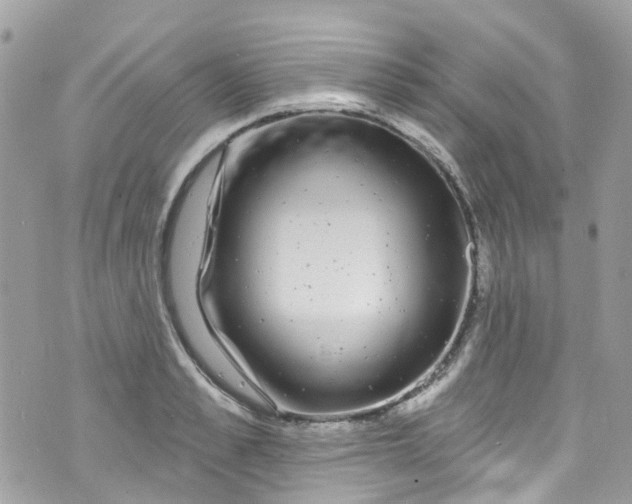 X0000072990989200608111802