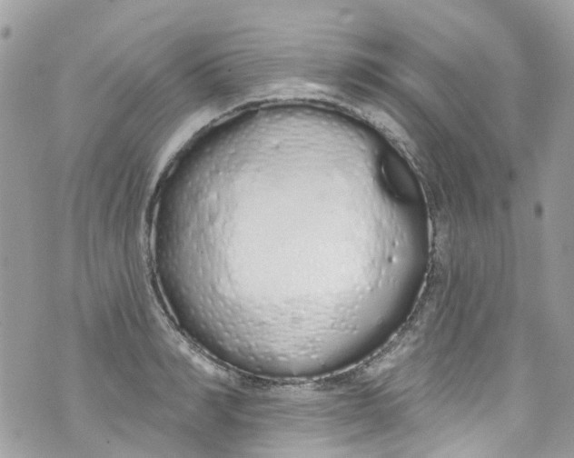 X0000072990990200608111802