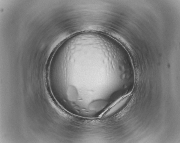 X0000072990991200608111802