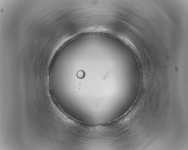 X0000072990992200608111802