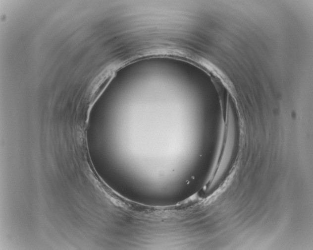 X0000072990993200608111802