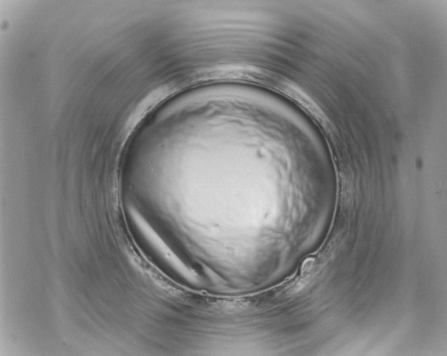 X0000072990994200608111802