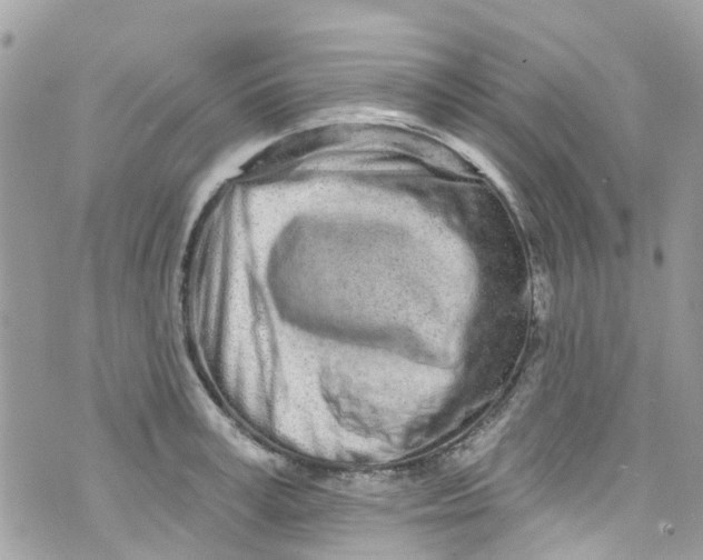 X0000072990995200608111802