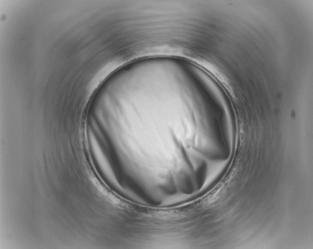 X0000072990998200608111802