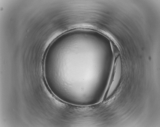 X0000072990999200608111802