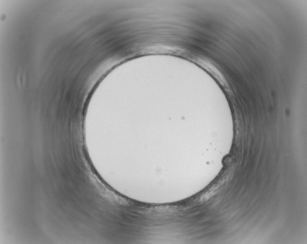 X0000072991000200608111802