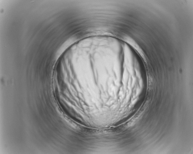 X0000072991002200608111802