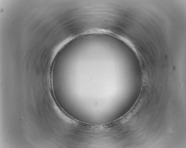 X0000072991003200608111802