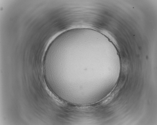 X0000072991004200608111802