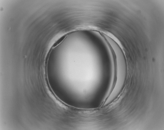 X0000072991005200608111802