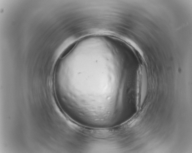 X0000072991007200608111802