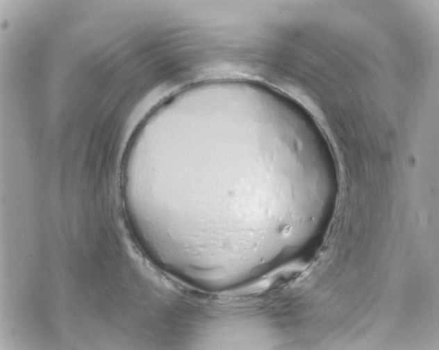 X0000072991008200608111802