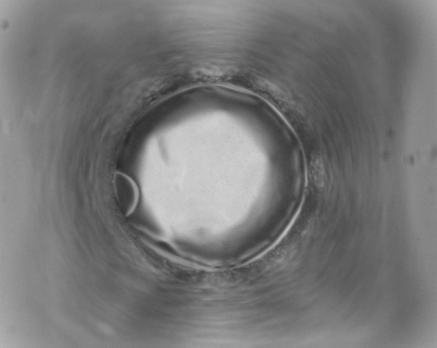 X0000072991009200608111801