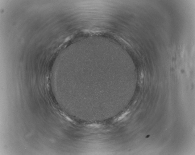 X0000072991010200608111801