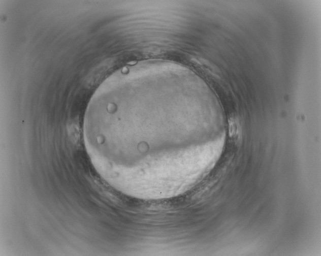 X0000072991011200608111801