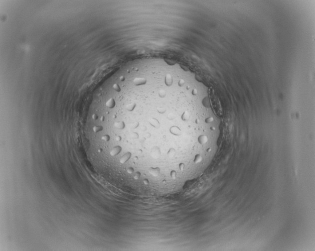 X0000072991012200608111801