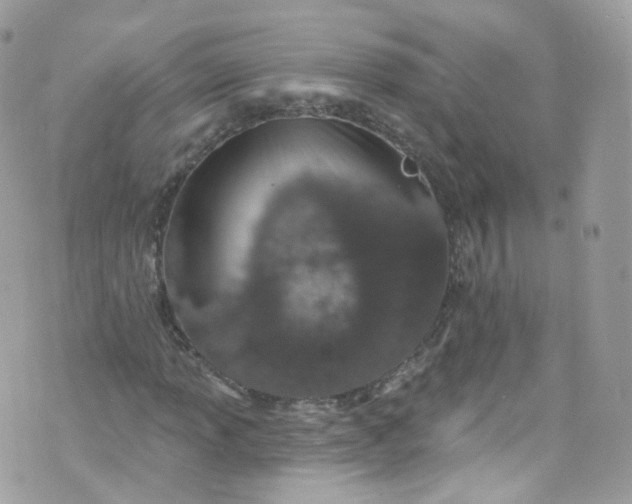 X0000072991013200608111801