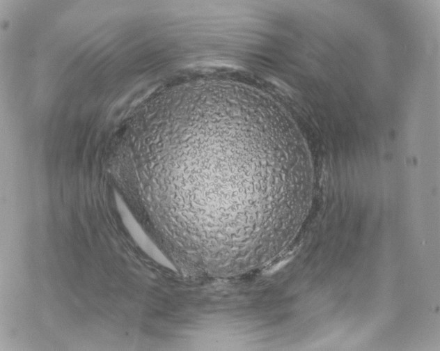 X0000072991014200608111801