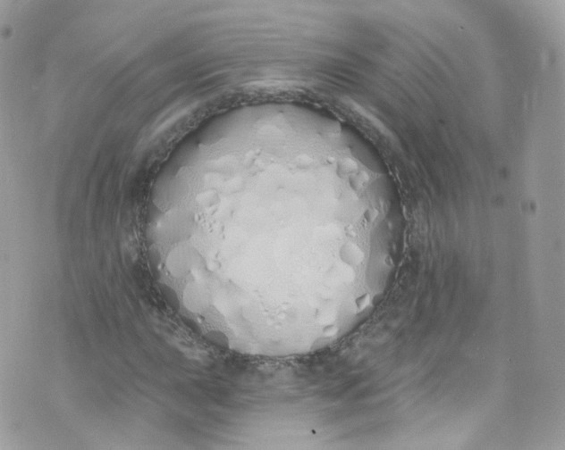 X0000072991015200608111801