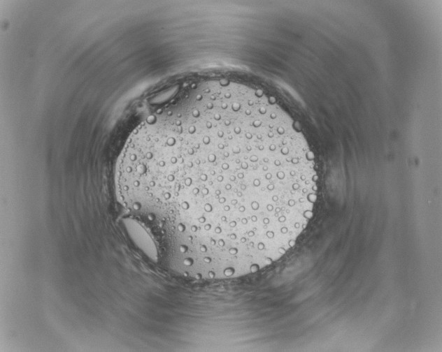 X0000072991016200608111801