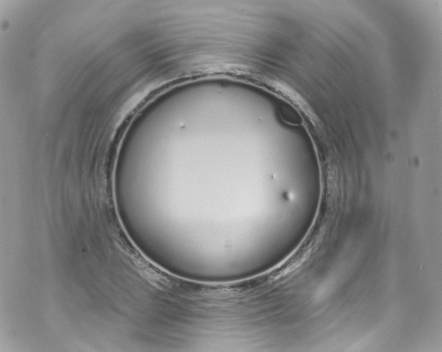 X0000072991023200608111802